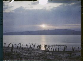 Image représentant Site palafittique préhistorique des Alpes, pieux en bois visibles lors de la baisse des eaux après la grande sécheresse de 1921. Coucher de soleil sur le lac de Morat