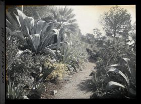 Image représentant le jardin