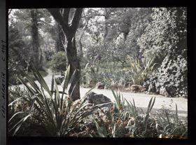 Image représentant le Jardin