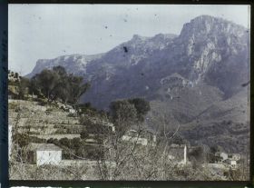 Image représentant Cultures en terrasse dans la vallée du Loup