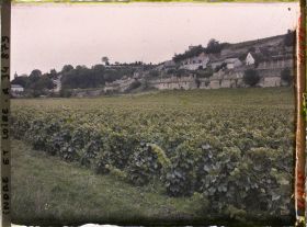 Image représentant Vignoble des coteaux de Vouvray