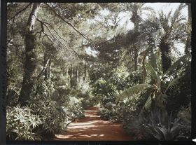 Image représentant Cap-Martin - Le Jardin