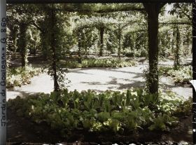 Image représentant Partie nord-est du verger-roseraie vue depuis le rond-point planté de légumes, côté jardin français