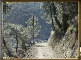 Image représentant Sur la route de Gorbio