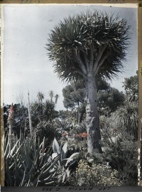 Image représentant Le Jardin