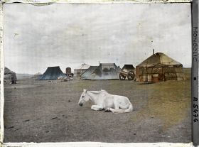 Image représentant Un cheval couché devant un campement de tentes et de yourtes