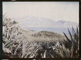 Image représentant Panorama sur le littoral de Menton, vu depuis le rivage du cap Martin ponctué d'agaves