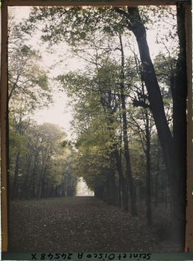 Image représentant Une allée du parc