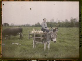Image représentant Une laitière