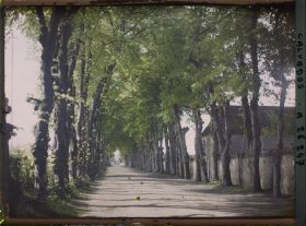 Image représentant La route de Canon