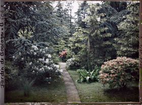 Image représentant Forêt bleue, forêt dorée et marais