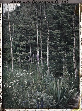 Image représentant La prairie et la forêt dorée à l'orée de la forêt vosgienne