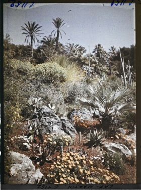 Image représentant le jardin