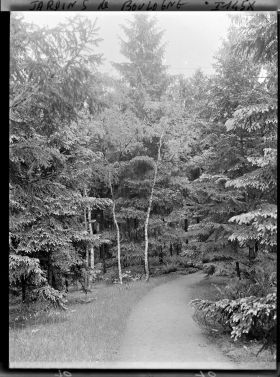 Image représentant La forêt dorée