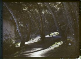 Image représentant Elément construit dans un sous-bois, en bord de route (sur la promenade du cap Martin ?)