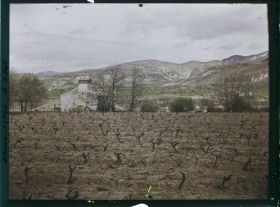 Image représentant Une maison rurale avec pigeonnier, vignes et terre de Provence