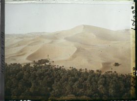Image représentant L'oasis au pied du Grand Erg