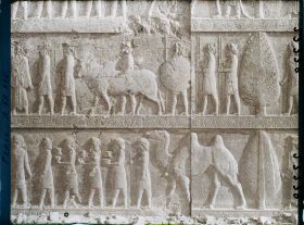 Image représentant Escalier nord de l'Apadana, détail de la procession des tributaires (les Bactriens)