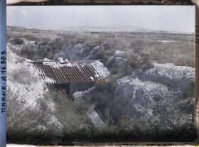 Image représentant France, Tranchée Couverte de Coquelicots