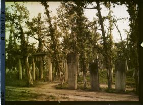 Image représentant Konglin, la nécropole de la famille de Confucius