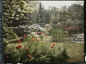 Image représentant Pavots d'Orient et arbustes en fleurs ornant la partie nord-est du marais, vue en direction de l'est