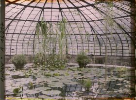 Image représentant Parc de la Tête d'Or