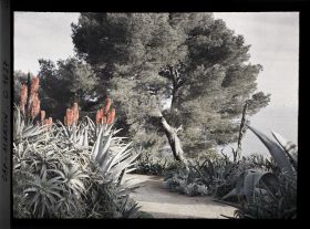 Image représentant Le Jardin