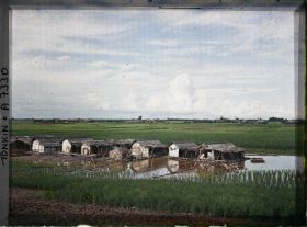 Image représentant Des maisons flottantes dans les rizières sur les bords du Fleuve Rouge