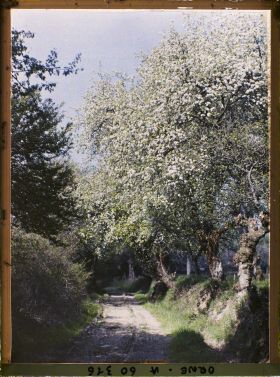 Image représentant Paysage