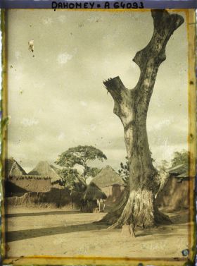 Image représentant Un arbre (sacré ?) dans le village