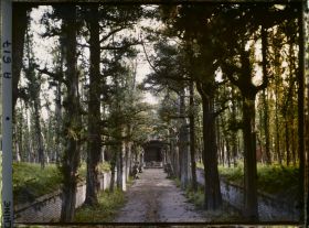 Image représentant Konglin, la nécropole de la famille de Confucius