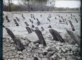 Image représentant Site palafittique préhistorique des Alpes, pieux en bois visibles lors de la baisse des eaux après la grande sécheresse de 1921