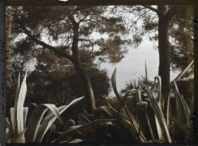 Image représentant le Jardin