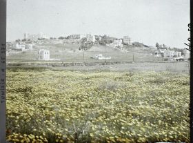 Image représentant Vue de la colline de Saint-Louis ou Byrsa avec à gauche la cathédrale de Saint-Louis ou primatiale de Carthage et à droite des villas et l'hôtel Saint-Louis