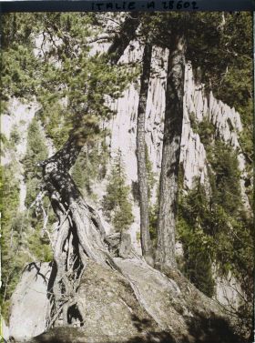 Image représentant Les Pyramides de terre (ou Cheminées de Fées) de Renon