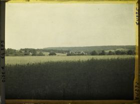 Image représentant Ile de France, Autriches, Effets de jour sur Champ de blé