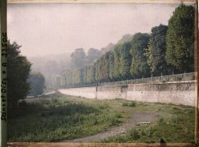 Image représentant Aspect de la végétation dans le parc vers la Grande Cascade