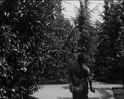 Image représentant Rabindranâth Tagore