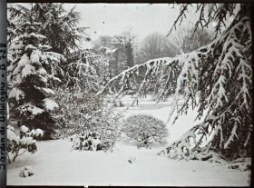Image représentant Forêt bleue et Marais sous la neige