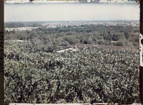 Image représentant Panorama de la ville