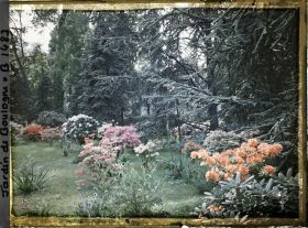 Image représentant Azalées sur la pelouse du marais ; à travers la forêt bleue on devine le laboratoire