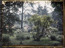 Image représentant Vue vers la forêt bleue, à l'arrière-plan on devine le marais