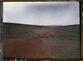 Image représentant Paysage parsemé de touffes d'alfa