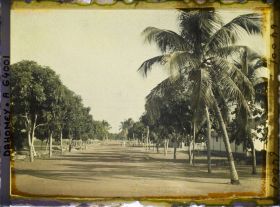 Image représentant L'avenue d'Awansoli dans le quartier européen