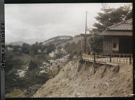 Image représentant Cerisiers en fleurs et paysages de montagne