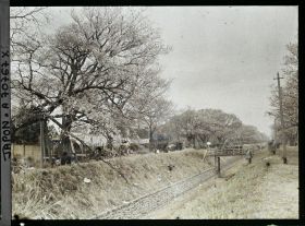 Image représentant Promenade à Koganei