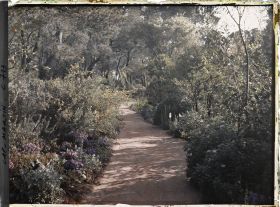 Image représentant Jardin divers