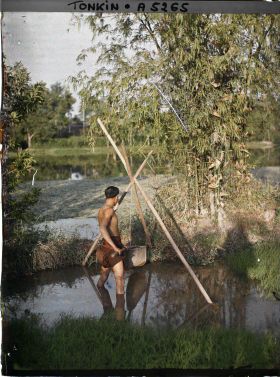 Image représentant Un homme utilisant un seau à manche, système élévatoire d'eau pour l'irrigation du riz