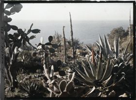 Image représentant Jardin divers