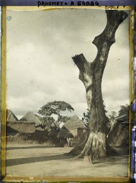 Image représentant Un arbre (sacré ?) dans le village